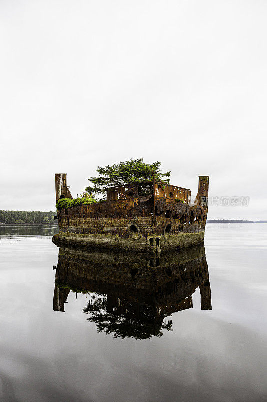加拿大不列颠哥伦比亚省Haida Gwaii(夏洛特女王群岛)，格雷厄姆岛北岸纳登港Colnett Point岸边的一艘生锈废弃的原木驳船。